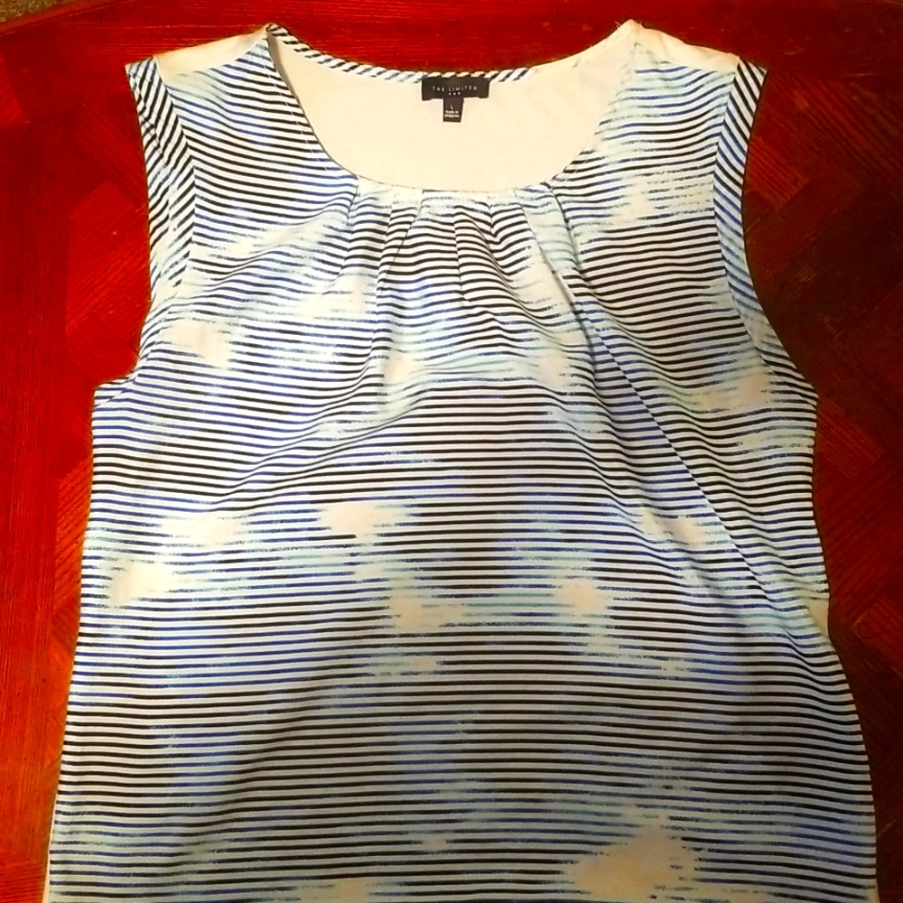 Limited tank. Size Large. Blue multi stripe